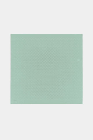 Z Monogram Rüya Mint Eşarp 0085