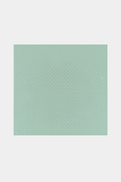 Z Monogram Rüya Mint Eşarp 0085