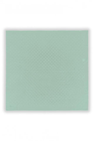 Z Monogram Rüya Mint Eşarp 0085