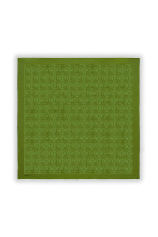 Koza Haki Eşarp 0082