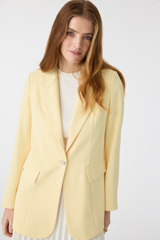 Kruvaze Yaka Tek Düğmeli Blazer Sarı Ceket 0070